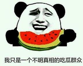 吃瓜群众百度百科,揭秘网络围观现象背后的社会心理